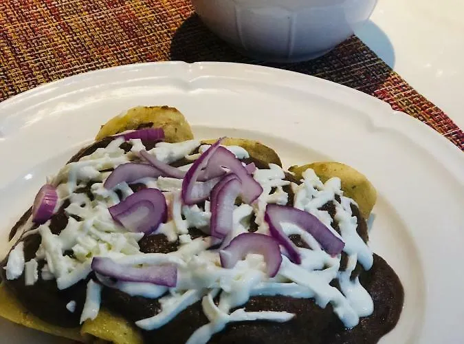 In M32 5 Th Ave Acomodação com café da manhã  Playa del Carmen